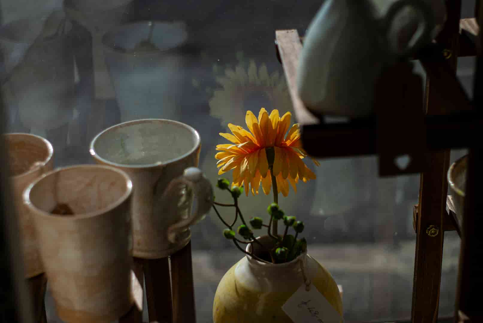 boutique artisanale campagne courriel marketing